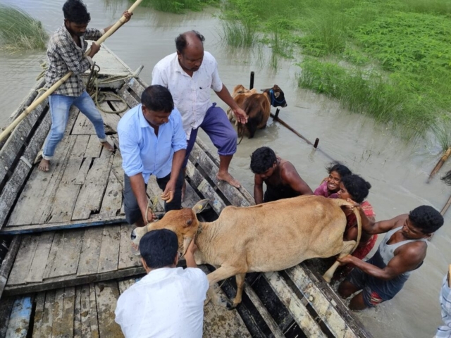 Flood Affected People