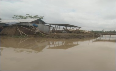Flood Affected People