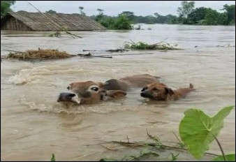 Flood Affected People