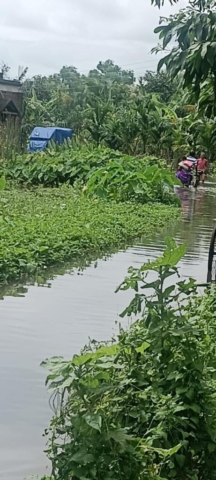 Flood Affected People